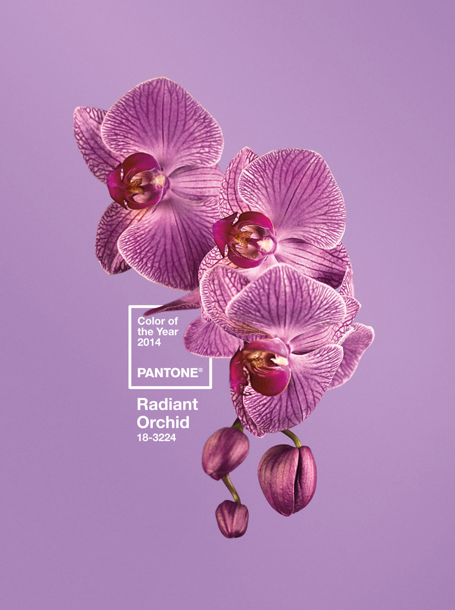 pantone18-3224-radiant-orchid
